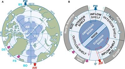 Understanding Regional and Seasonal Variability Is Key to Gaining a Pan-Arctic Perspective on Arctic Ocean Freshening